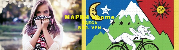 хмурый Белокуриха