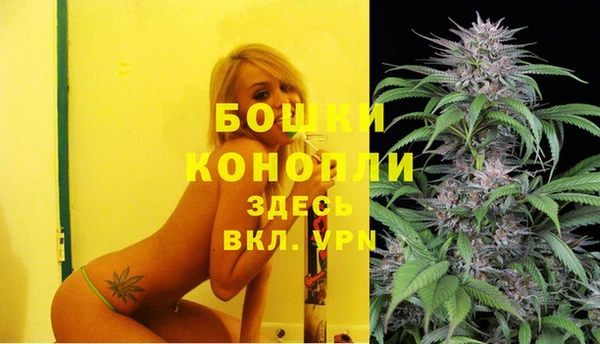 гашик Семикаракорск