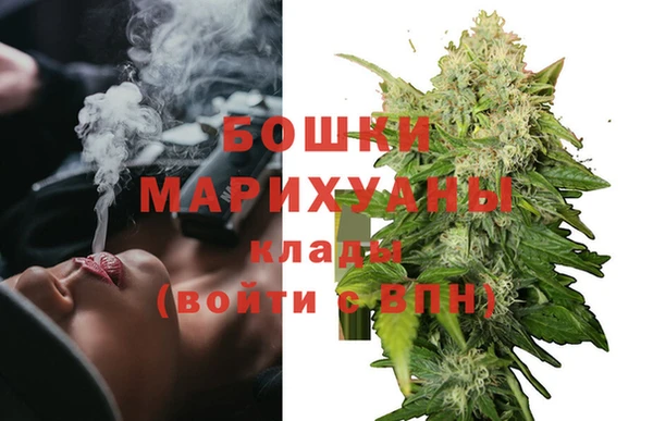 бошки Богданович