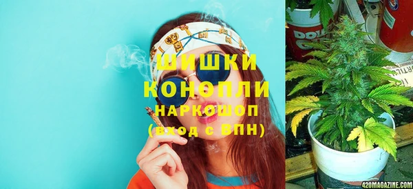 дмт Богородск