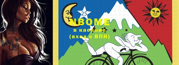 хмурый Белокуриха