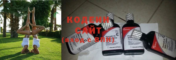 хмурый Белокуриха