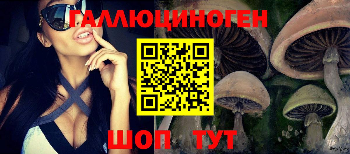 наркота  Псилоцибиновые грибы Psilocybine cubensis  Вход с VPN  Реж 